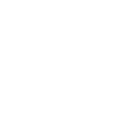 Tidal Logo